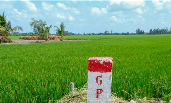 Dự án Đường tỉnh 827E qua tỉnh Long An có tổng chiều dài 35,6km